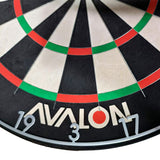 Caliburn Avalon Dartboard - Professional - WDF Approved