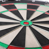 Caliburn Avalon Dartboard - Professional - WDF Approved